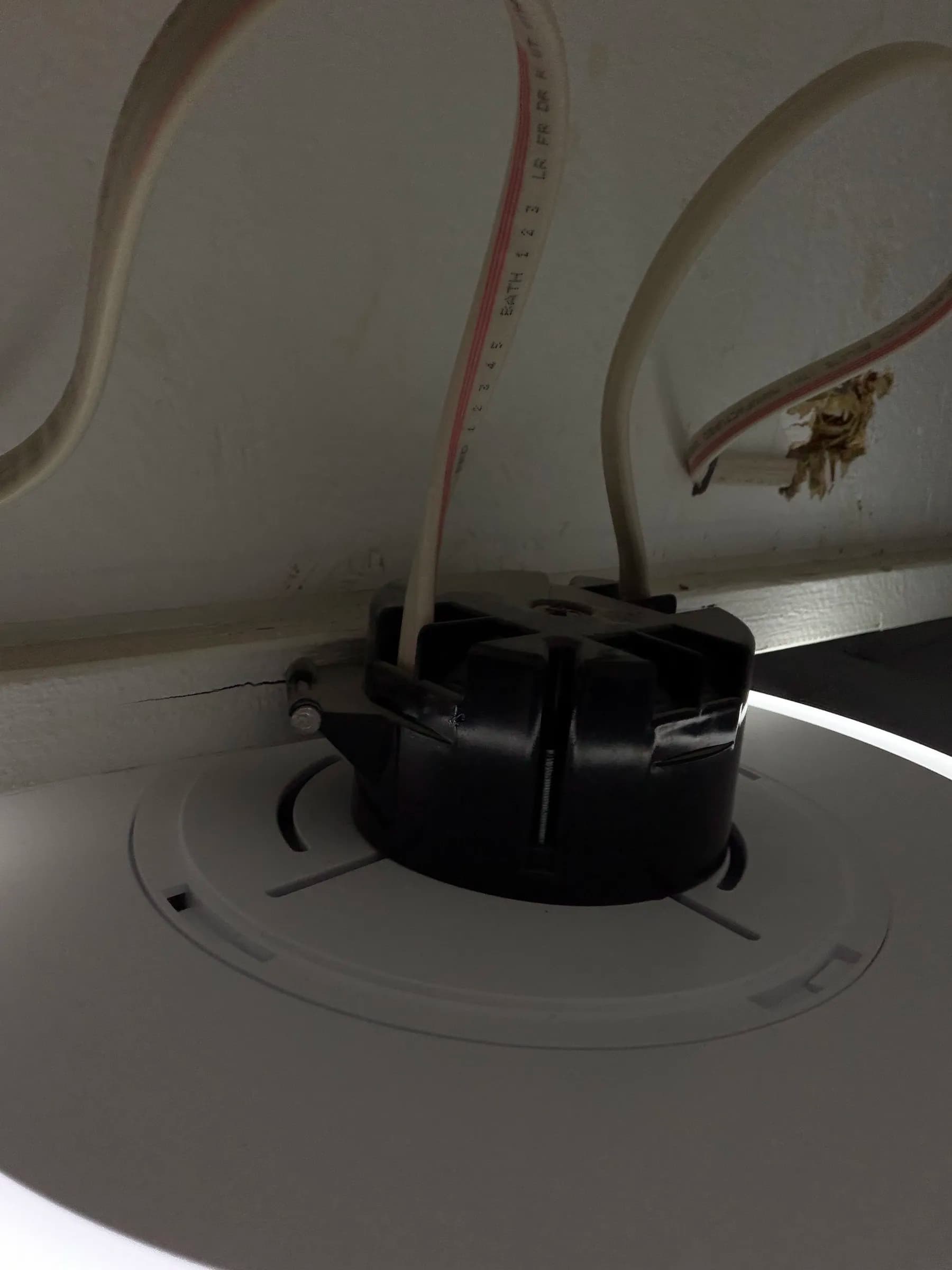 Top of the overhead gym light. Left wire goes to switch. Right wire goes to light #1.