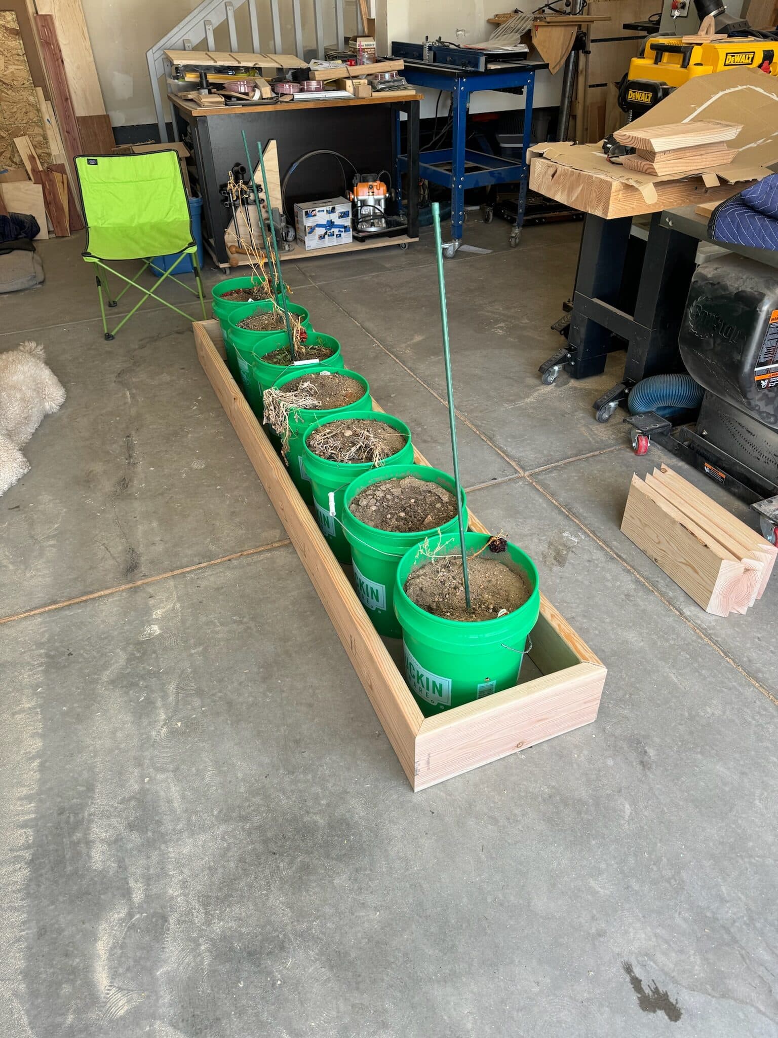 5 Gallon Bucket Garden Beds — photograph 2