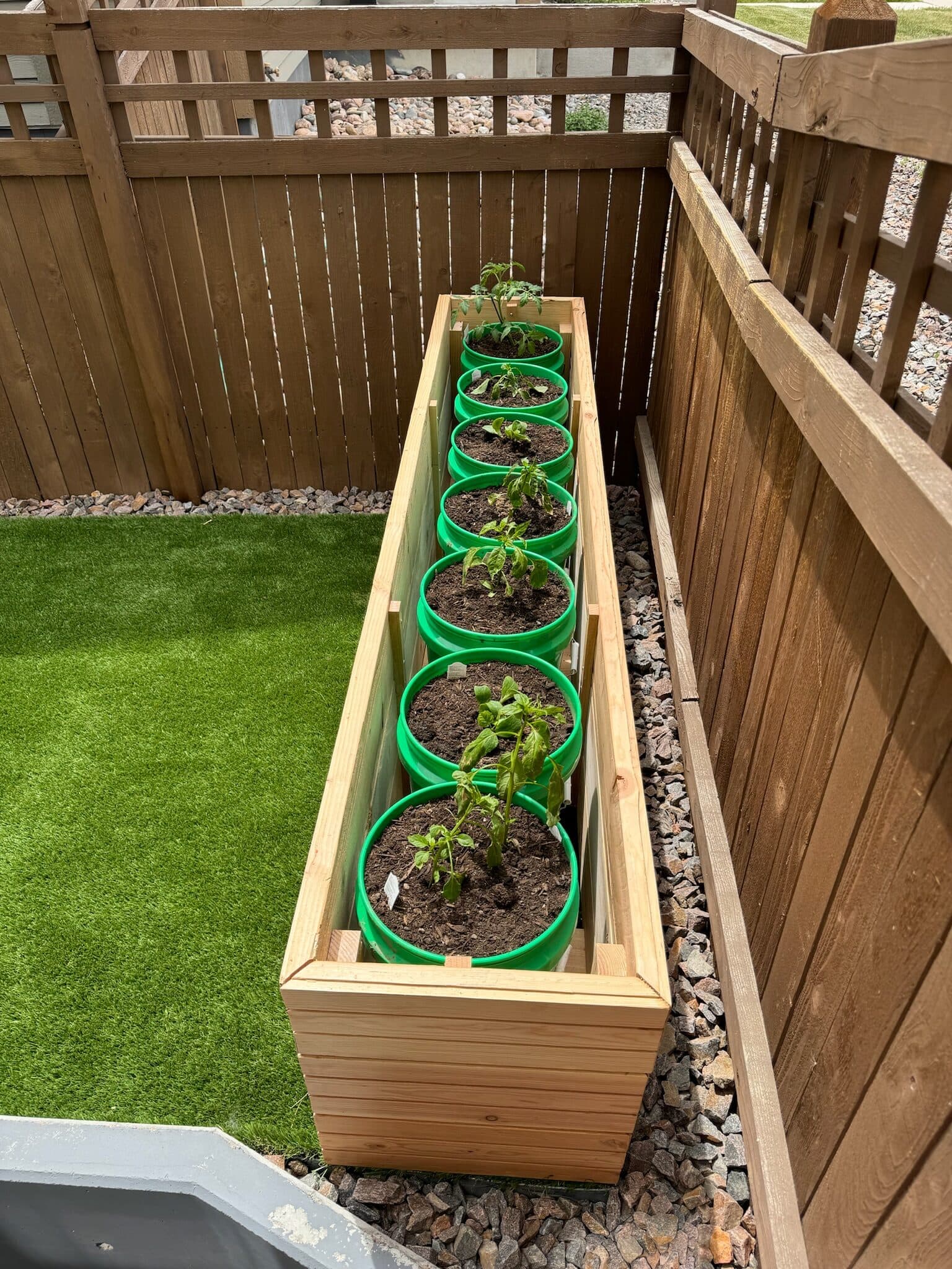 5 Gallon Bucket Garden Beds — photograph 7