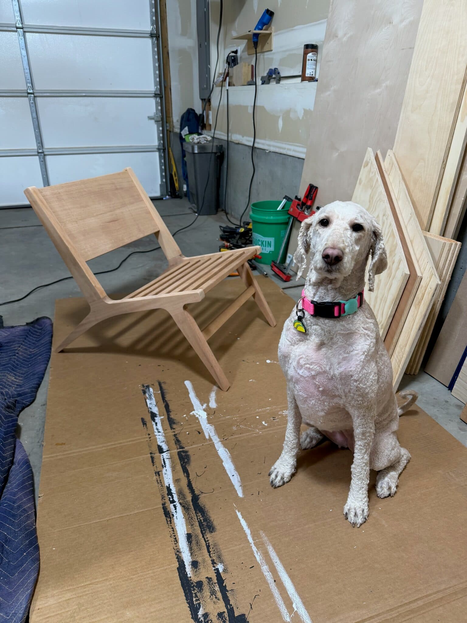 Mid Century Lounge Chair — photograph 14